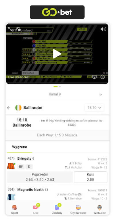 wyścigi konne transmisja gobet